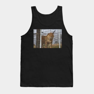 Liger Tank Top